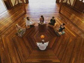 Meditation workshops