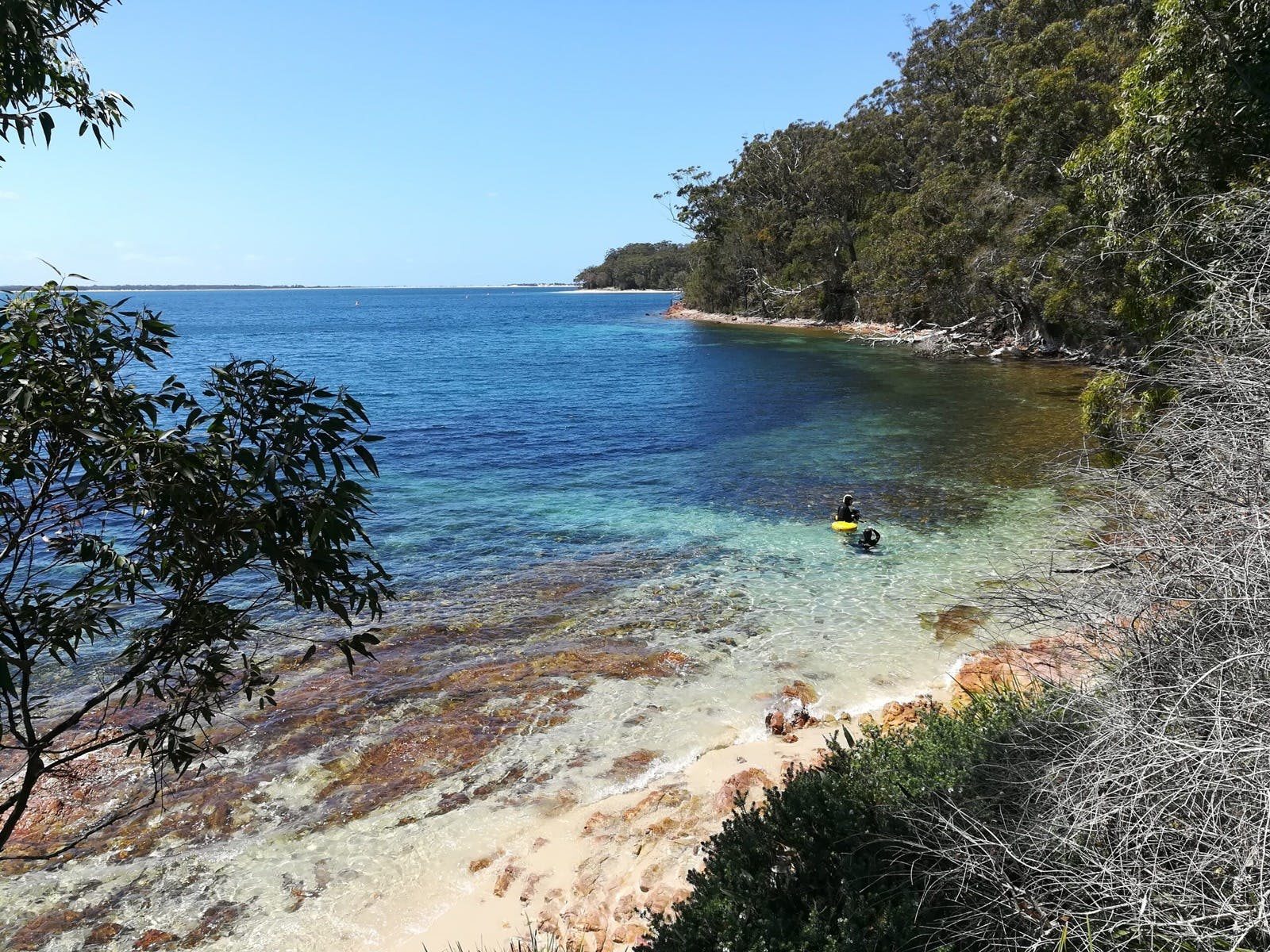 Fly Point – Halifax Park Aquatic Reserve