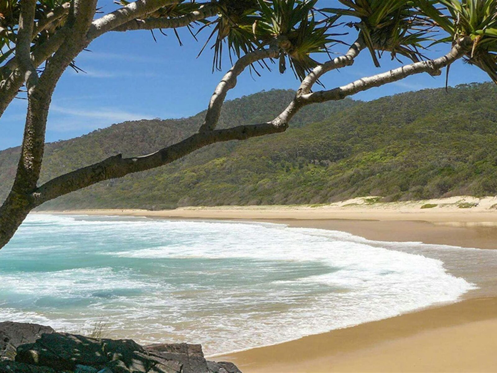 Gap Beach in Hat Head National Park. Photo credit: Barbara Webster © DPIE