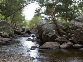 Gara Gorge, Oxley Wild Rivers National Park. Photo: Rob Cleary © DPIE