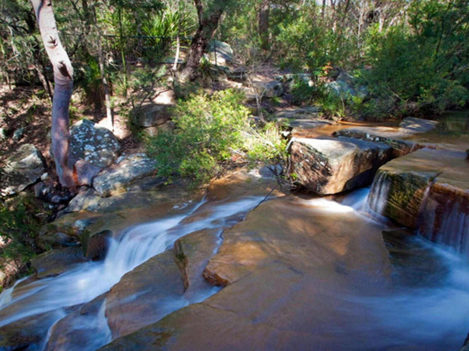 Garawarra State Conservation Area. Photo: Nick Cubbin © DPIE