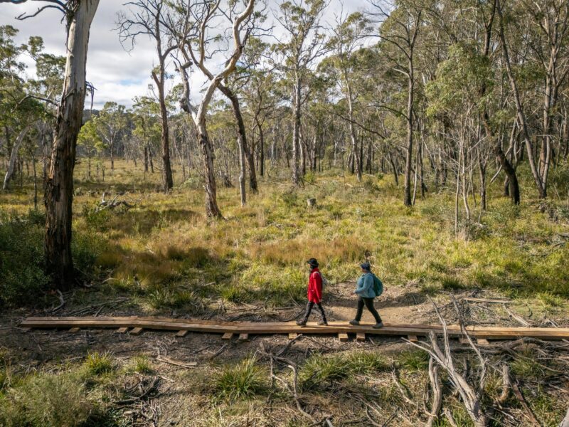 Broad Swamp Loop Track