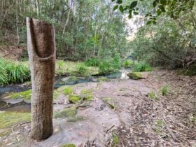 A Thought is a Ripple by Gavin Vitullo at Dungog Common Reserve made from a fallen log