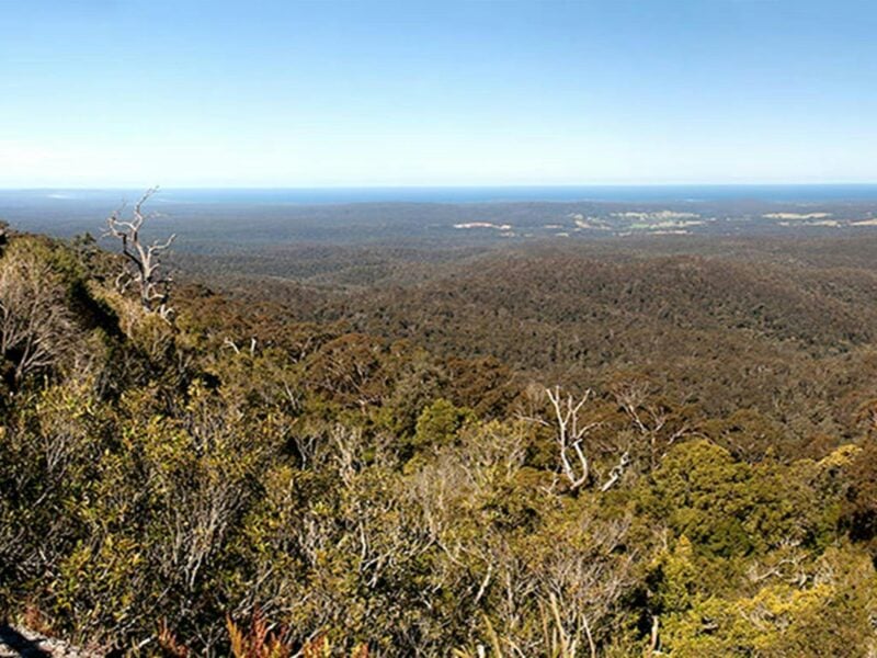 George Boyd lookout, Morton National Park. Photo: Michael Van Ewijk © OEH