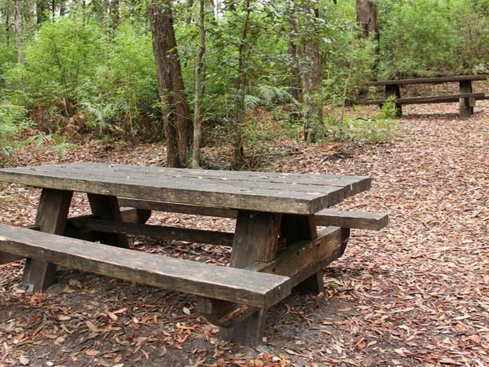 George Boyd picnic area, Morton National Park. Photo: John Yurasek © OEH
