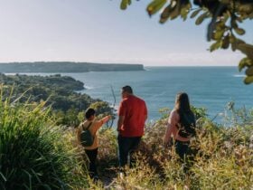 Georges Heights-Mosman-Headland Park