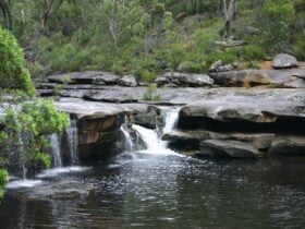 Keith Longhurst Reserve - The Basin