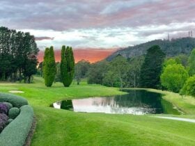Golf course