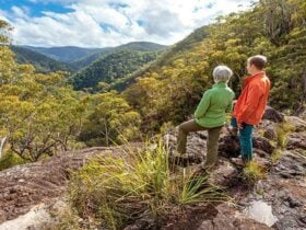 Duffer Creek walk, Gibraltar Range National Park. Photo: Robert Cleary © DPIE