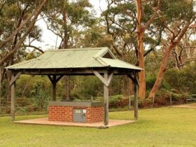Girrakool picnic area, Brisbane Water National Park. Photo: John Yurasek © OEH