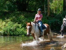 Glenworth Valley Trail Ride