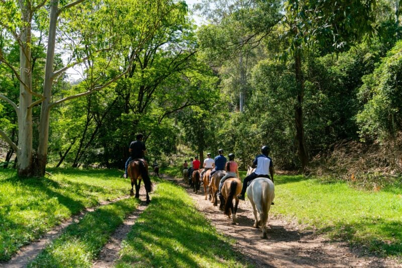 Horse Riding Glenworth valley wilderness adventures