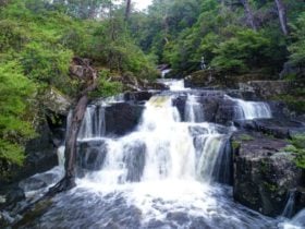 Gloucester River at Gloucester Falls