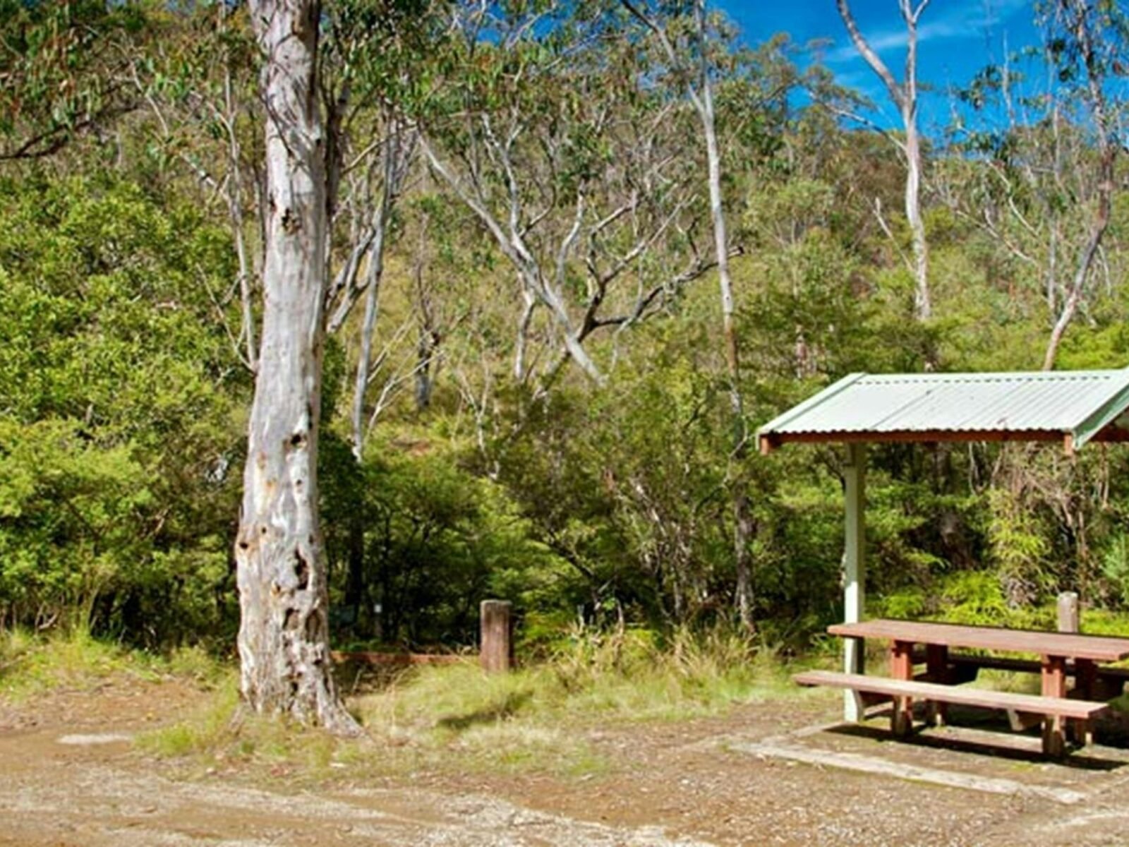 Gloucester Tops picnic area, Barrington Tops National Park. Photo: John Spencer