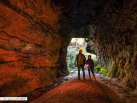 Entering the Glow Worm Tunnel on the Newnes Plateau, Lithgow