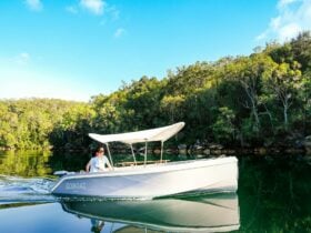Person enjoying a GoBoat ride on calm waters at Akuna Bay, Ku-ring-gai Chase National Park.