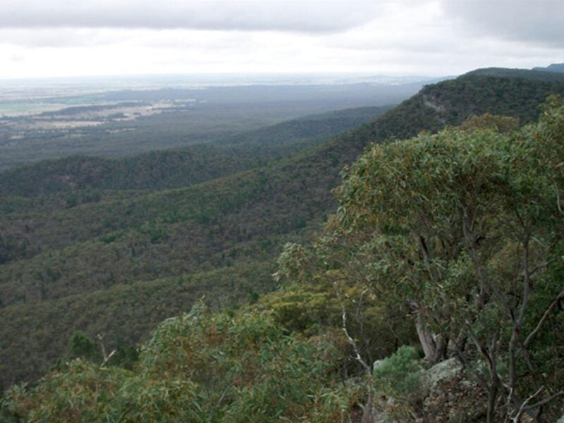 Burrabadine Peak, Goobang National Park. Photo: Amanda Lavender © DPIE