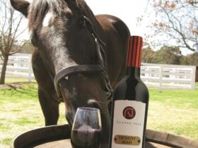 Glass of Shiraz anyone?