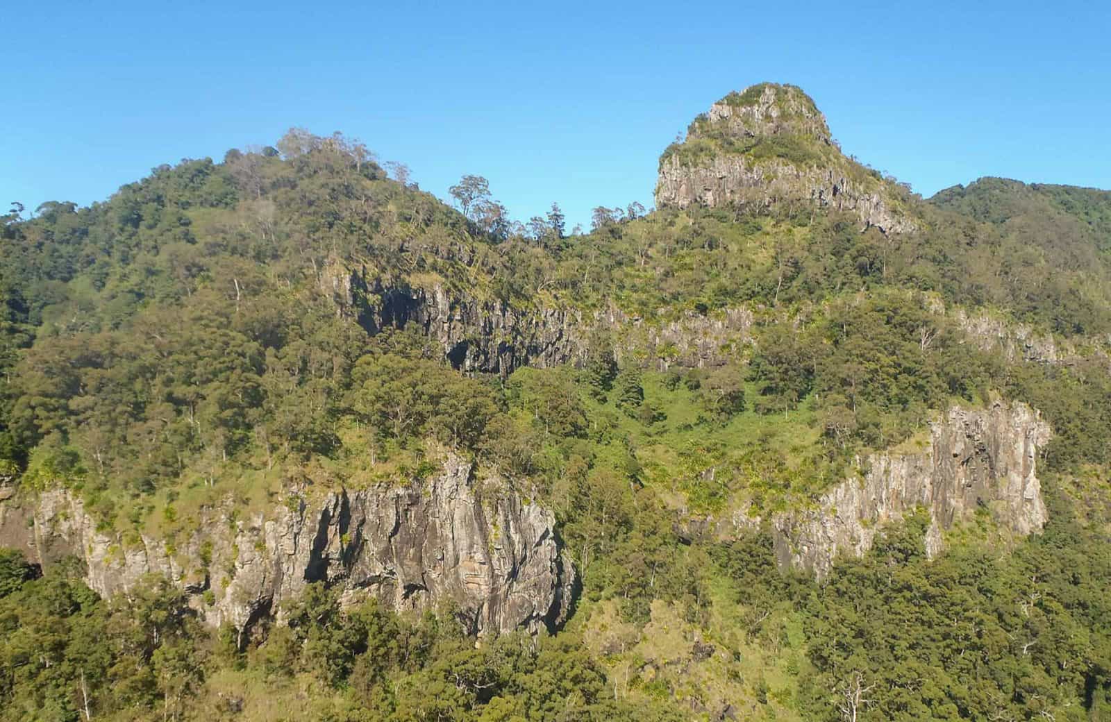 Goorgana walking track, Nightcap National Park. Photo: Kerrie Metzler