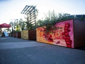 Grafton Prince Street Planter Box Trail