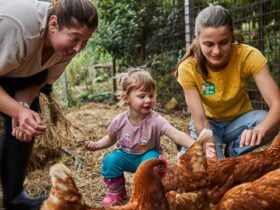 Child and two adults smiling and feeding chooks on a farm
