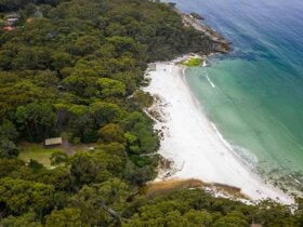 Aerial view of Greenfield Beach picnic area, Greenfield Beach and surrounding bushland. Photo