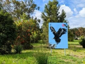 Gresford Arboretum Mural by Christine Pike