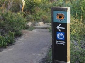 Signposts point the way to Grotto Point Aboriginal engravings off Manly scenic walkway. Photo: