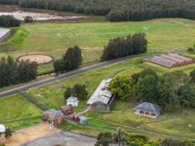 Birds eye, drone photo view of multiple heritage buildings and grass landscape.