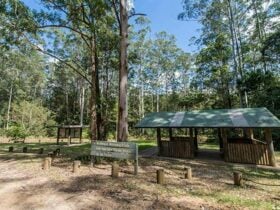 Gur-um-bee picnic area, Wallingat National Park. Photo: John Spencer