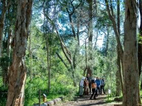 Walking Trail with people