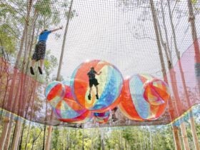 Children bouncing in the WIldNets