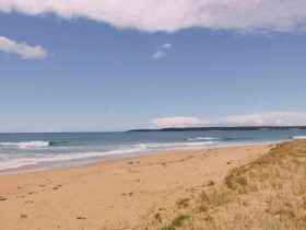 Warrain Beach near Hammerhead Point picnic area, Jervis Bay National Park. Photo: David Finnegan