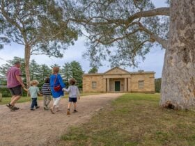 2 adults and 2 kids walking on a path towards Hartley Courthouse at Hartley Historic Site. Credit: