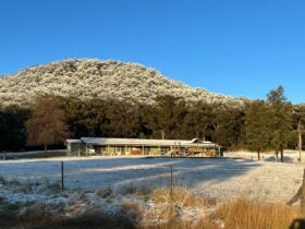 This is one of 5 cabin blocks on out Farm, each block containing 5 cabins, each sleeping 6. all cabi
