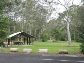 Grassy Haynes Flat picnic area with a picnic shelter in the distance, in Lane Cove National Park.