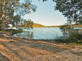 Hearts Point picnic area, Myall Lakes National Park. Photo: John Spencer © DPIE