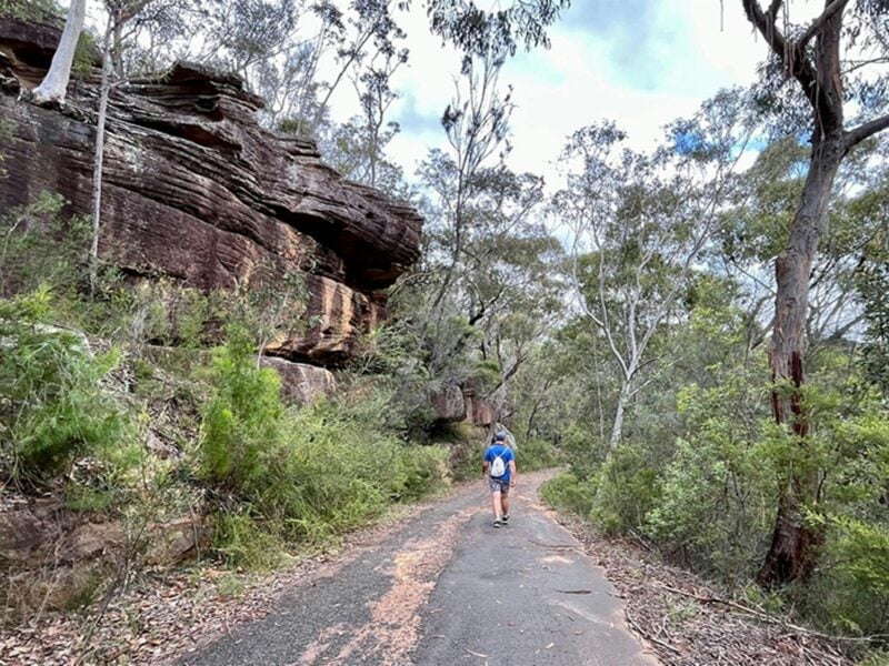 Rocky wall by walking track to Mirang pool, Heathcote National Park. Credit: Natasha Webb ©
