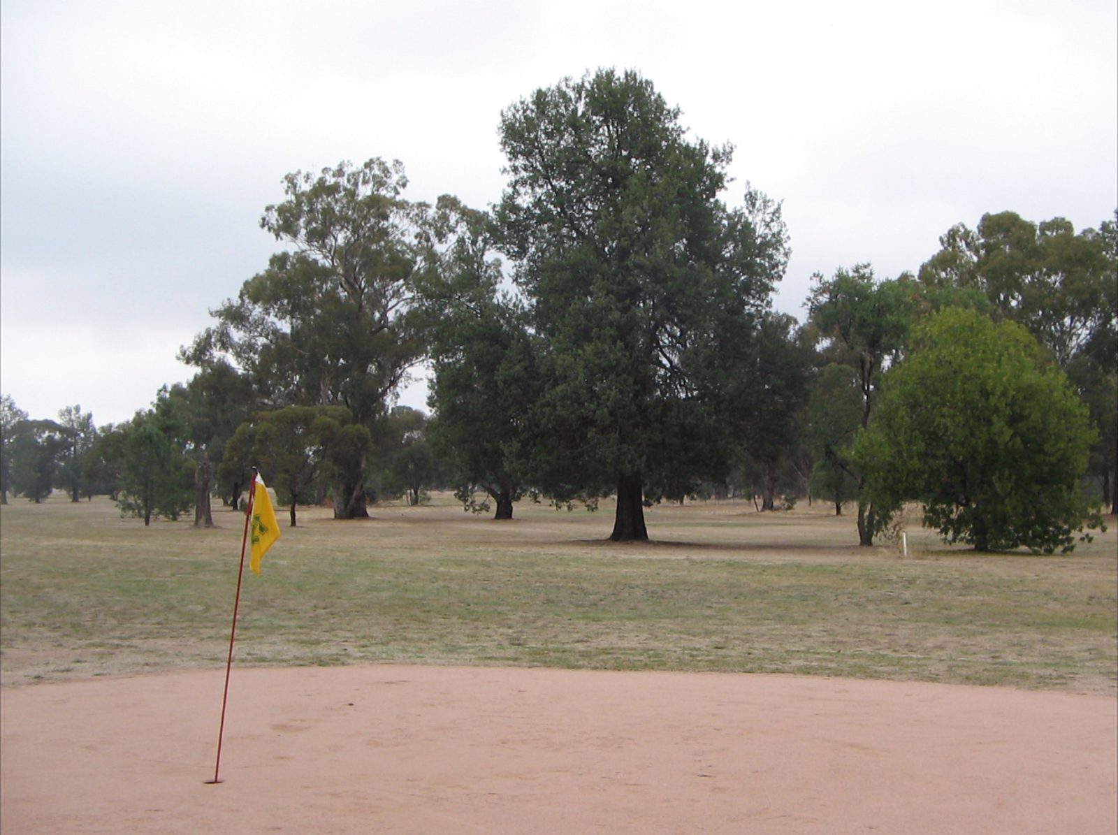 Henty Golf Course