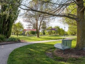 Green space and chair