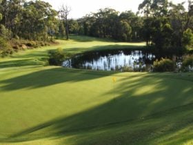 7th Tee