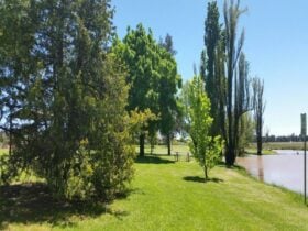 Hodgson Park Lockhart