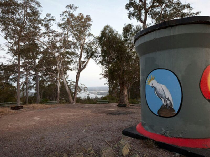 Holmes lookout area, Clyde River National Park. Photo: Lucas Boyd © OEH