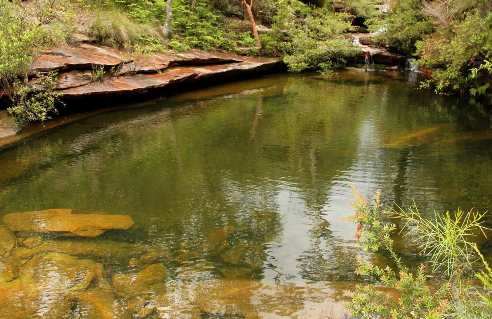 Hominy Creek Trail, Popran National Park. Photo: John Yurasek