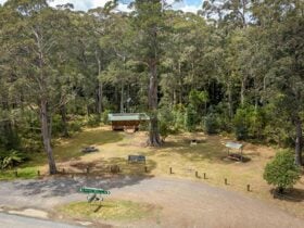 Aerial view of Honeysuckle picnic area in Barrington Tops National Park. Photo: John Spencer/DPIE