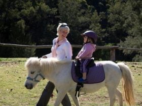 Little Pony Horserides in the Country
