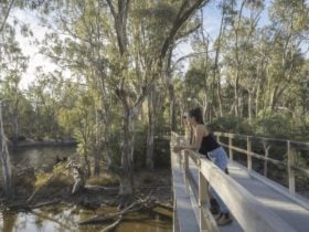 Horseshoe lagoon