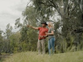 A man and woman look across the bank of the Murray River in Howlong.