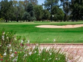 Golf Course