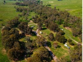 Hume and Hovell - Henry Angel Tumba 3 Drone